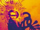 brian jonestown massacre fist full of bees vinyl (OOP, RARE) 0026