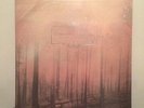 If These Trees Could Talk Red Forest SEALED 12