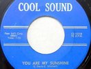 THE ZIRCONS 45 You are My Sunshine COOL SOUND Doo Wop A CAPPELLA #T593