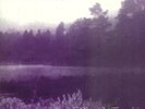 IN THE WOODS - Heart of the Ages