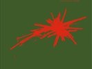 The Wedding Present - Bizarro