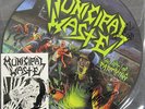 MUNICIPAL WASTE - The Art Of Partying  RARE hardcore punk SIGNED pic disc 12