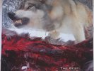Unida / Dozer ?– The Best Of Wayne-Gro / Coming Down The Mountain -RAR- Lim.1000