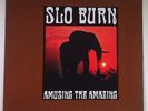 Slo Burn ?– Amusing The Amazing -- Kyuss -- UNIDA --