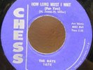 THE RAYS | How Long Must I Wait | *HEAR* | R&B Soul Doo Wop 45 | CHESS 1678