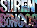PRESTON EPPS (& The Bongo Teens): Surfin´ Bongos 12
