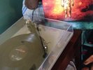 Deja Entendu by Brand New (Vinyl, Jul-2005, Triple Crown Records)