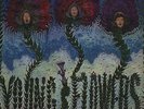 Young Flowers - Blomsterpistolen Vinyl EU LP+7