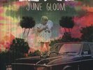 June Gloom - Big Deal (2013, Vinyl New)