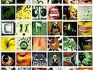 Pearl Jam No Code brand new sealed original WHITE LP mint eddie vedder 1996 rare