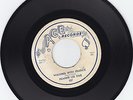 ACE 527- FRANKIE LEE SIMS-HEY LITTLE GIRL/WALKING WITH FRANKIE-TEXAS BLUES