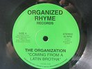 THE ORGANIZATION 