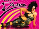 DIVINE-SHOOT YOUR SHOT-BEST OF-VINYL LP ZYX NEW