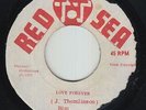 Roots Reggae/Dub 45 - Bim Sherman & The Dynamics - Love Forever - Red Sea - mp3