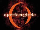 A Perfect Circle Mer De Noms vinyl LP original press APC Tool