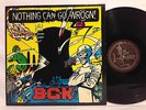 BGK Nothing Can Go Wrong 1986 Alternative Tentacles Virus 52 w/ Inner Sleeve