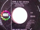 Rare 60's Northern Soul - THE BLUES BUSTERS (Minit) Love Is The Answer