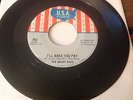 The Shady Daze - Love is a Beautiful Thing / I'll Make You Pay 45 USA 883 Garage