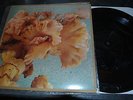 LEE RANALDO - ALL THE STARS IN THE SKY LP signed ART by ZEGAR RAYERS sonic youth