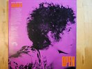 Brian Auger, Julie Driscoll and The Trinity - Open. Vinyl LP 1967