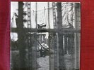 LP Paul McCartney Chaos And Creation In The Backyard