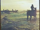 Foals - Holy Fire (2013) LP (MINT)  Top Press     /    Bloc Party, Oasis, Blur