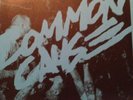Common Cause Test Press Mindset Betrayed Get The Most Champion React Records