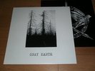 ACID Gray Earth LP vinyl GISM GAUZE LIP CREAM