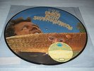 BLACK MOTH SUPER RAINBOW - Don't You Want to be in a Cult 12