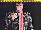 ELVIS 