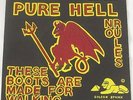 PURE HELL - THESE BOOTS ARE MADE FOR WALKING - RARE 1978 UK 7