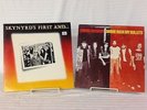 Set Of 2 Lynyrd Skynyrd LP Vinyl Rec