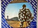 Pink Floyd Delicate Sound of Thunder Gilmour Mason Wright Brazil picture disc