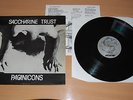 SACCHARINE TRUST - Paganicons LP SUPERB NR MINT RARE US 1ST PRESS 1981 SST 006