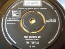 THE TURTLES - YOU SHOWED ME  7
