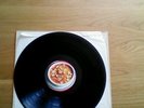 1995 Blind Melon Soup Vinyl LP NM