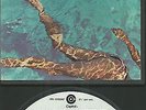 4 Spur Tonband Reel to Reel : Little River Band - Greatest hits (Vintage Rock(