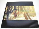 CHILDISH GAMBINO - CAMP - DOUBLE LP 180 GRAM-LP/Vinyl/Record