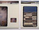 Modest Mouse Lonesome Crowded West  2x12