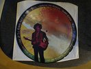Jimi Hendrix Jim Morrison picture disc