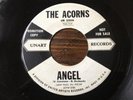 White Vocal Group (45) THE ACORNS 