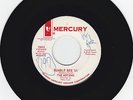 Rare Surf 45 Davie Allan as The Motions WLP ' Bumble Bee '65 ' Mercury 1965