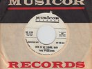 Promo Fuzz Garage 45 THE PIGEONS 