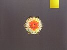 GOLD PANDA HALF OF WHERE YOU LIVE LP VINYL NEW