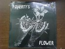 Poverty's Flower - Voice Of The Wilderness LP Sealed Xian Female Psych Folk
