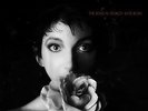 Kate Bush - The Sensual World +++Vinyl 180g+++Audio Fidelity+++NEU+++OVP
