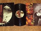 Kate Bush,The Red Shoes.Rare 1993 Vinyl LP.EMI,EMD 1047.C/w Inner sleeve.