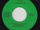 Funk 45 - Third Membrane - Getting To You Baby - House Of Big Brother - mp3