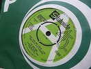 THE CHIFFONS 45 DEMO -