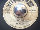 R&B The Ascots SHE DID / HIP TALK Bethlehem 45 rare KILLER dancer